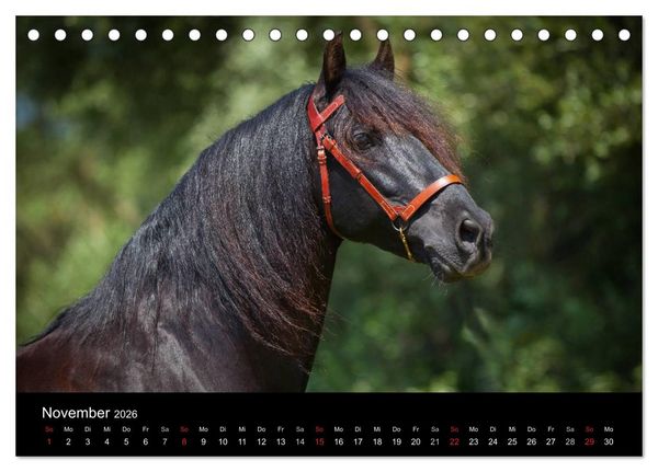 Produktbild: Spaniens stolze Pferde (Tischkalender 2026 DIN A5 quer), CALVENDO Monatskalender