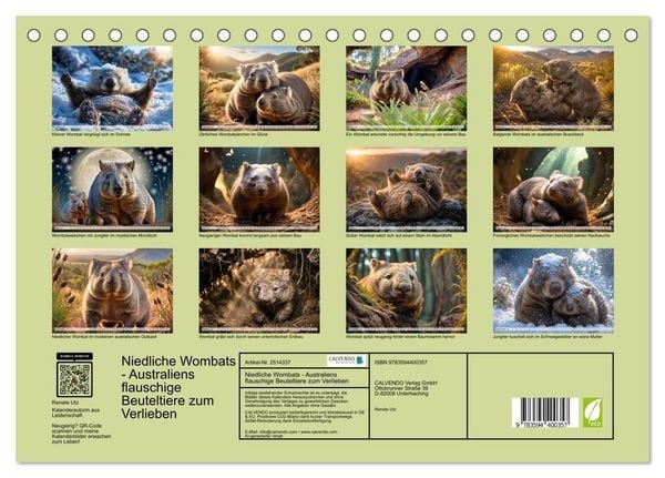Produktbild: Niedliche Wombats - Australiens flauschige Beuteltiere zum Verlieben (Tischkalender 2027 DIN A5 quer), CALVENDO Monatskalender