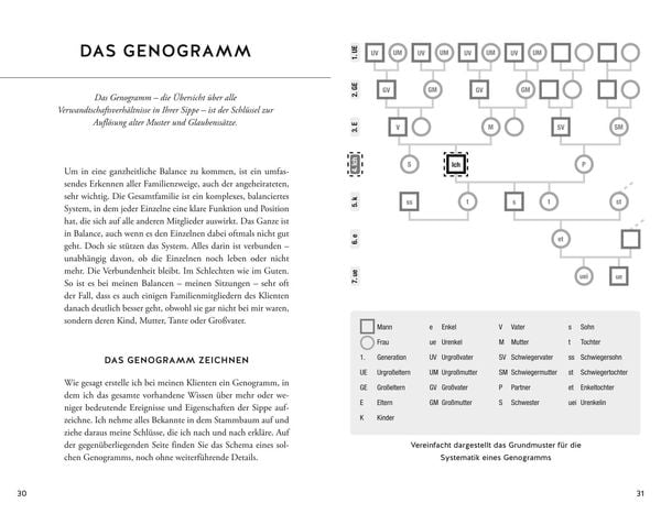 Produktbild: Die verborgenen Kr&auml;fte unserer Ahnen