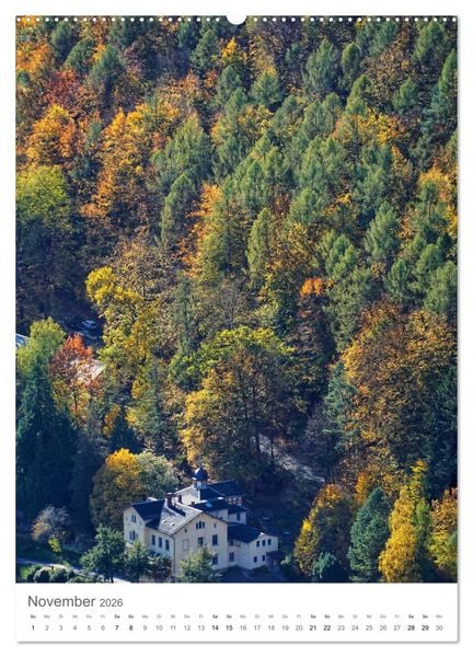 Produktbild: Wald - bezaubernde Landschaften (hochwertiger Premium Wandkalender 2026 DIN A2 hoch), Kunstdruck in Hochglanz