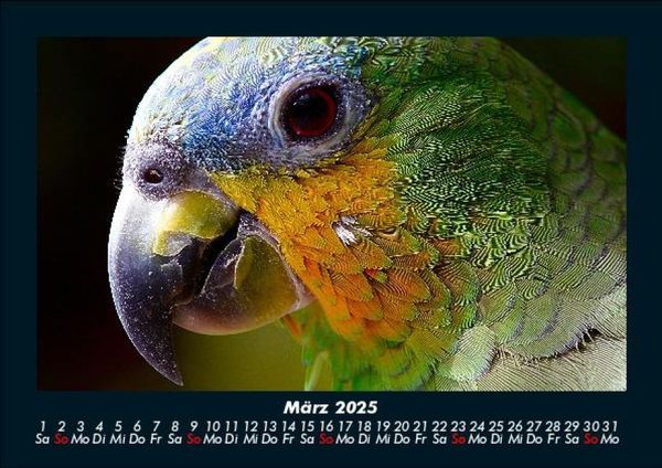 Produktbild: Vogelparadies 2025 Fotokalender DIN A5