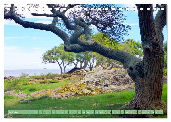 Produktbild: Uruguay - Bienvenido al R&iacute;o de la Plata (Tischkalender 2026 DIN A5 quer), CALVENDO Monatskalender