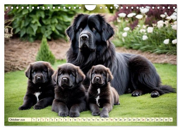 Produktbild: Giganten der Hundwelt (Wandkalender 2026 DIN A4 quer), CALVENDO Monatskalender