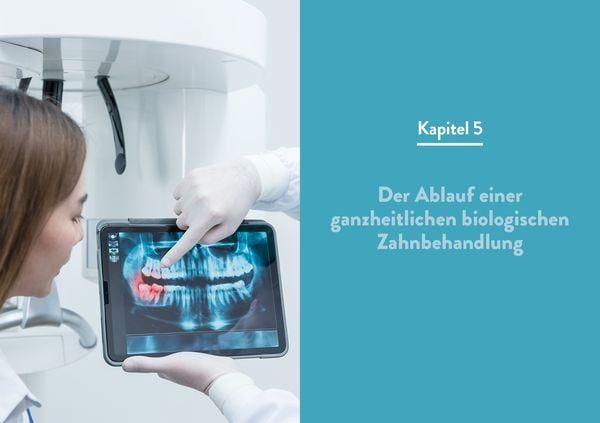 Produktbild: Die geheime Kraft der Z&auml;hne