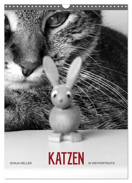 Produktbild: Sonja Heller Katzen in SW-Portraits (Wandkalender 2026 DIN A3 hoch), CALVENDO Monatskalender