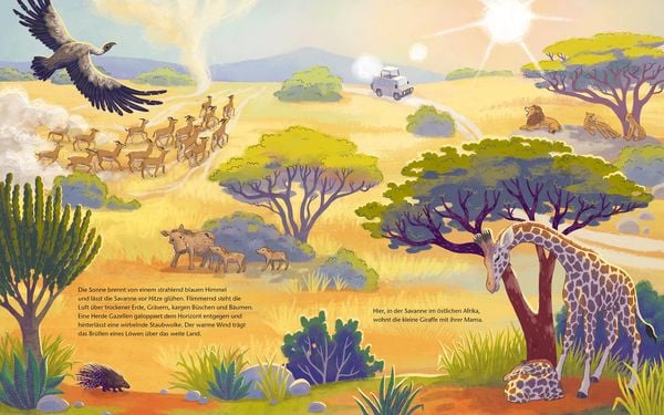 Produktbild: Die kleine Giraffe - Zu Hause in der Savanne