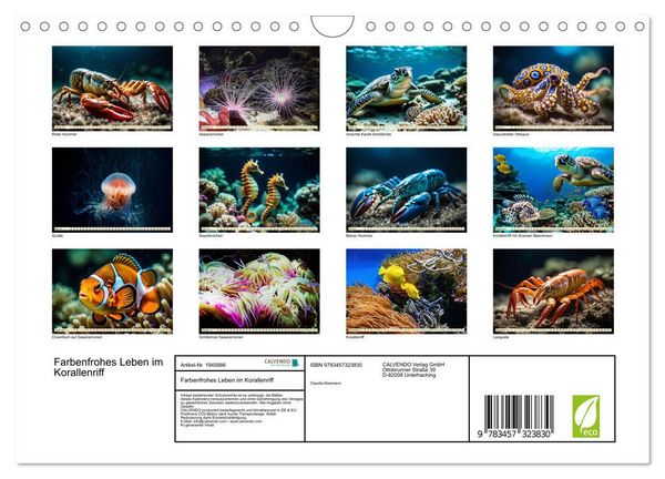 Produktbild: Farbenfrohes Leben im Korallenriff (Wandkalender 2026 DIN A4 quer), CALVENDO Monatskalender