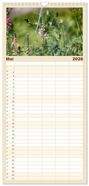 Produktbild: Familienplaner 2026 - Hummelflug mit 5 Spalten (Wandkalender, 21 x 45 cm) CALVENDO