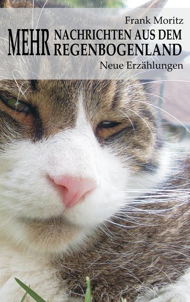 Mehr Nachrichten aus dem Regenbogenland, Taschenbuch von Frank Moritz, BoD – Books on Demand, 9783741292668