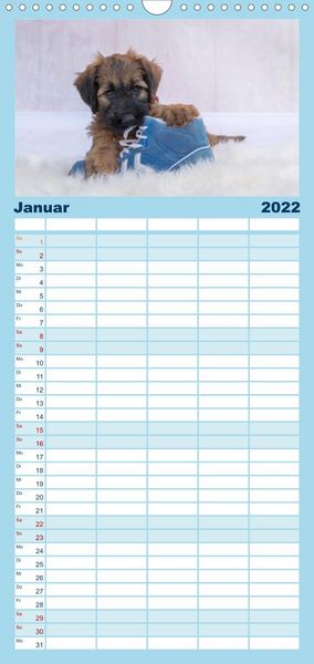 Produktbild: Briardbabys in ihren ersten Wochen - Familienplaner hoch (Wandkalender 2022 , 21 cm x 45 cm, hoch)