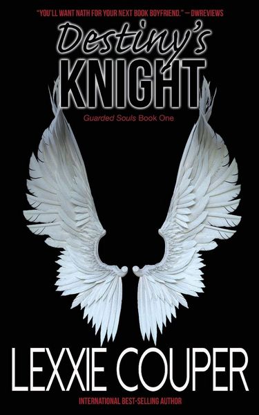 Produktbild: Destiny's Knight