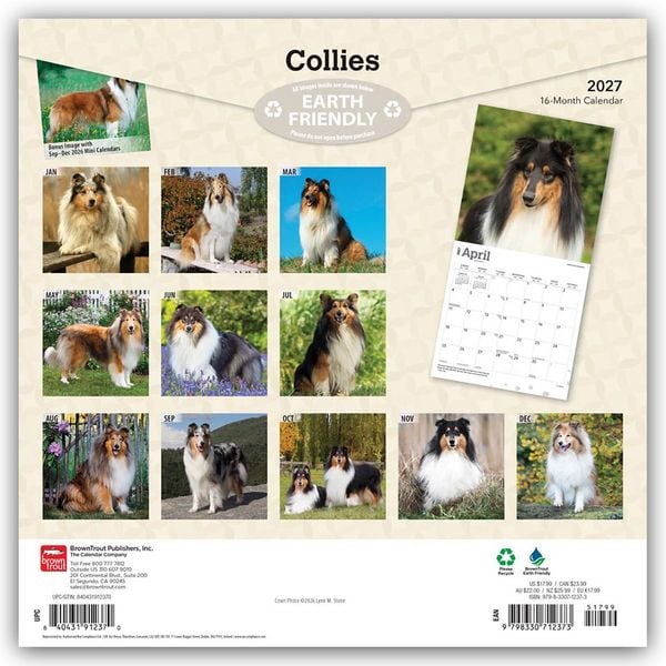 Produktbild: Collies &ndash; Langhaarcollie 2027 &ndash; 16-Monatskalender