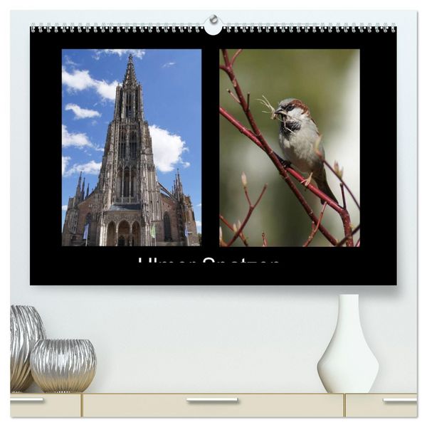 Produktbild: Ulmer Spatzen (hochwertiger Premium Wandkalender 2026 DIN A2 quer), Kunstdruck in Hochglanz