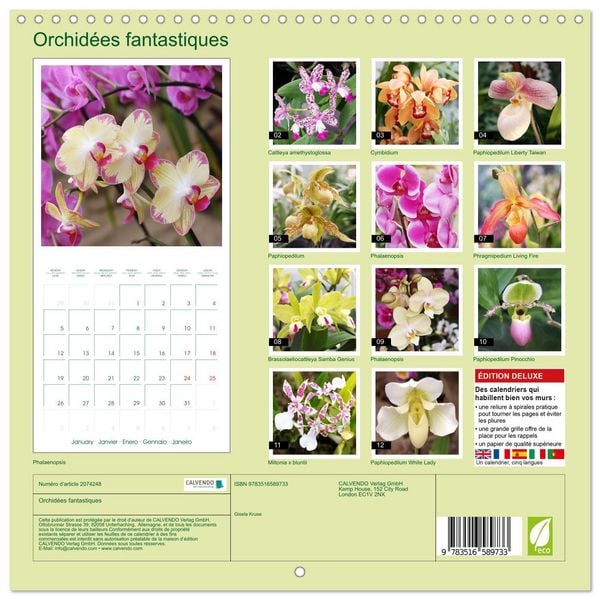 Produktbild: Orchid&eacute;es fantastiques (Calendrier mural carr&eacute; 2026 30x30 cm) Calendrier double avec une page pour vos prises de notes