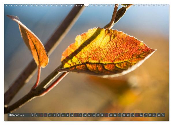 Produktbild: Die Natur hautnah (hochwertiger Premium Wandkalender 2026 DIN A2 quer), Kunstdruck in Hochglanz