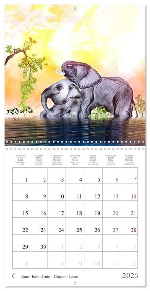 Produktbild: Grands et doux Les &eacute;l&eacute;phants (Calendrier mural carr&eacute; 2026 30x30 cm) Calendrier double avec une page pour vos prises de notes