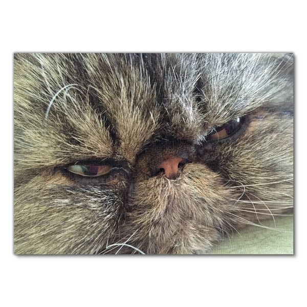 Produktbild: Lais Puzzle Katze 1000 Teile