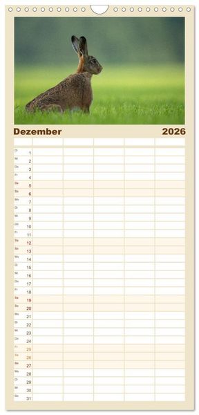 Produktbild: Familienplaner 2026 - Hasen - Die niedlichen Hoppeltiere. mit 5 Spalten (Wandkalender, 21 x 45 cm) CALVENDO