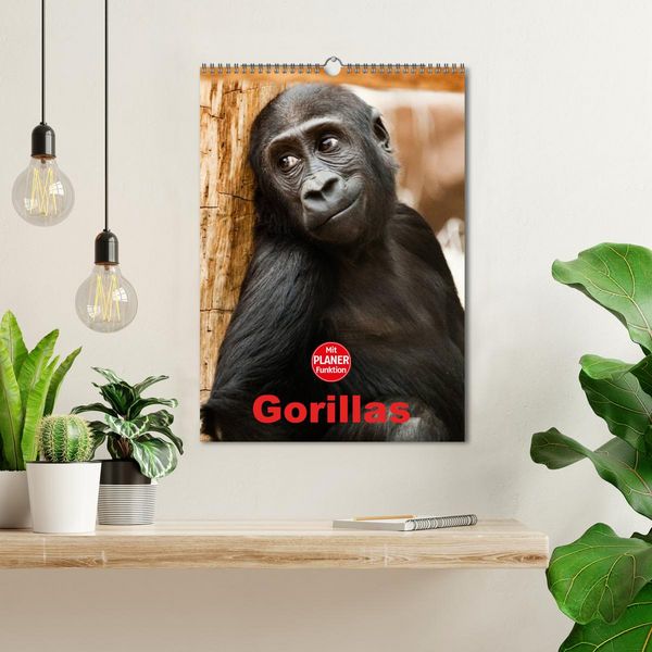 Produktbild: Gorillas (Wandkalender 2026 DIN A3 hoch), CALVENDO Monatskalender