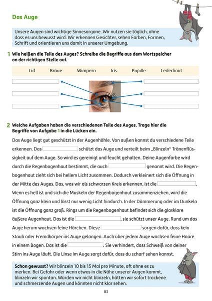 Produktbild: Erfolgreich durch die 3. Klasse &ndash; Mathe, Deutsch, Sachunterricht