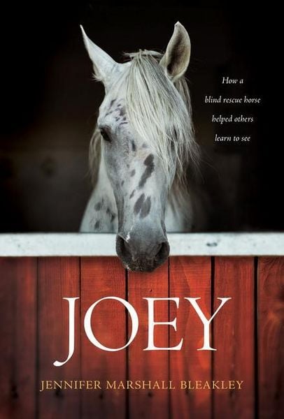 Produktbild: Joey