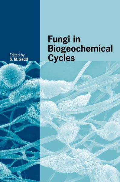 Produktbild: Fungi in Biogeochemical Cycles