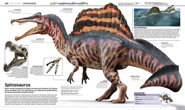 Produktbild: DK Wissen. Dinosaurier