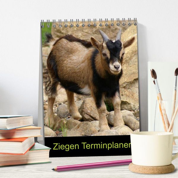 Produktbild: Ziegen Terminplaner (Tischkalender 2026 DIN A5 hoch), CALVENDO Monatskalender