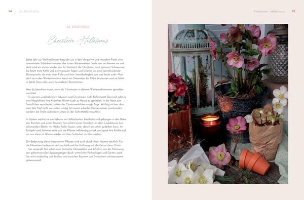 Produktbild: Weihnachtliche Blumenpoesie