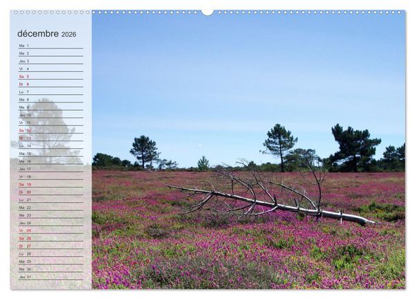 Produktbild: Bretagne La presqu'&icirc;le de Crozon (Calendrier mural 2026 DIN A2 vertical) calendrier de bureau