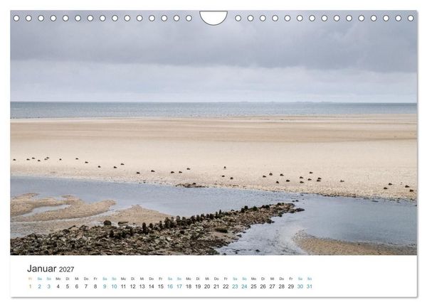 Produktbild: Amrum: Natur und Freiheit (Wandkalender 2027 DIN A4 quer), CALVENDO Monatskalender