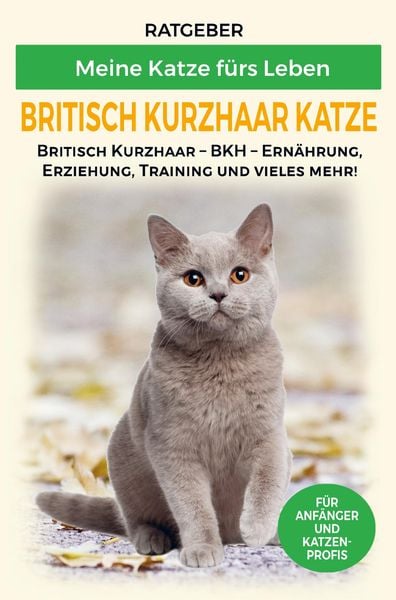 Britisch Kurzhaar Katze, Taschenbuch von Ratgeber Meine Katze fürs Leben, Bookmundo Direct, 9789403622033