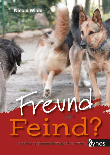 Produktbild: Freund oder Feind?