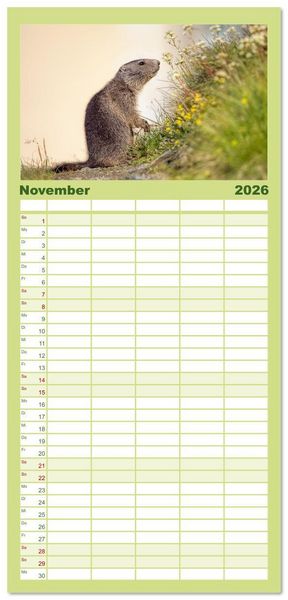 Produktbild: Familienplaner 2026 - Tiere der Alpen - Murmeltier-Kinder mit 5 Spalten (Wandkalender, 21 x 45 cm) CALVENDO