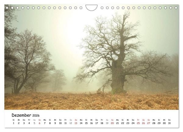 Produktbild: Morgendliche Stimmungen in Nordhessen (Wandkalender 2026 DIN A4 quer), CALVENDO Monatskalender