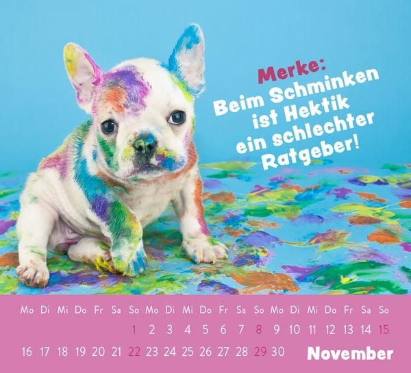 Produktbild: Mini-Kalender 2026: Der kleine Tierisch gechillt! Kalender