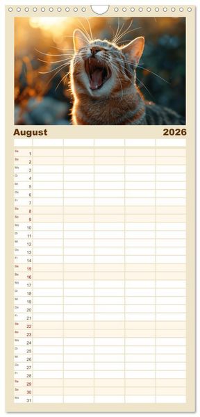 Produktbild: Familienplaner 2026 - Ansteckend m&uuml;de! mit 5 Spalten (Wandkalender, 21 x 45 cm) CALVENDO
