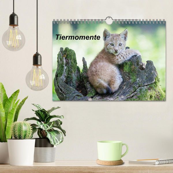 Produktbild: Tiermomente (Wandkalender 2026 DIN A4 quer), CALVENDO Monatskalender
