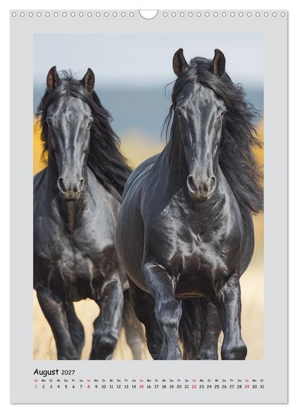Produktbild: Friesenpferde. Schwarze Eleganz in der Natur (Wandkalender 2027 DIN A3 hoch), CALVENDO Monatskalender