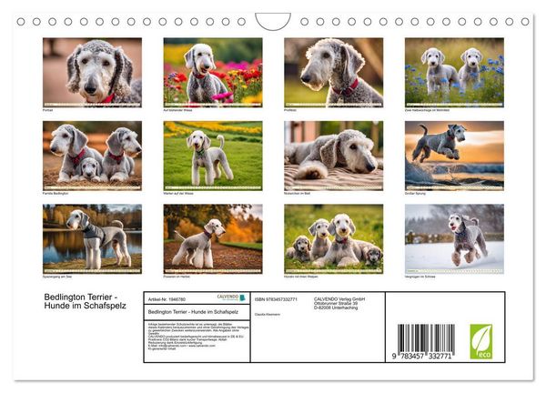 Produktbild: Bedlington Terrier - Hunde im Schafspelz (Wandkalender 2026 DIN A4 quer), CALVENDO Monatskalender