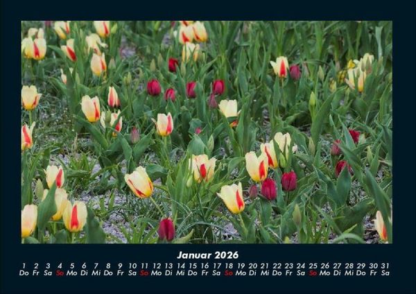 Produktbild: Blumenkalender 2026 Fotokalender DIN A4