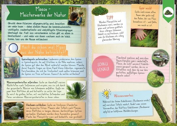 Produktbild: Naturforscher-Kids &ndash; Mitmachbuch im Wald