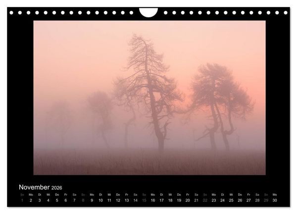 Produktbild: Hohes Venn und Ardennen (Wandkalender 2026 DIN A4 quer), CALVENDO Monatskalender