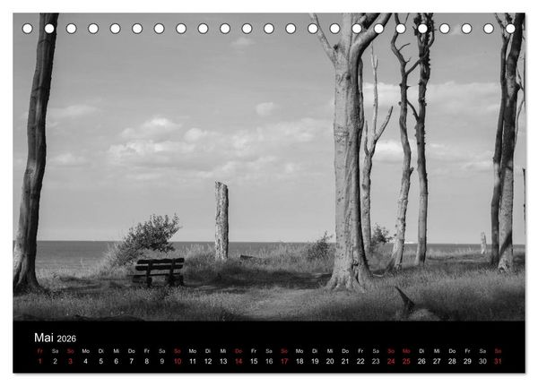 Produktbild: B&auml;ume trees 2026 (Tischkalender 2026 DIN A5 quer), CALVENDO Monatskalender