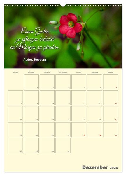 Produktbild: Gartenliebe (Wandkalender 2026 DIN A2 hoch), CALVENDO Monatskalender