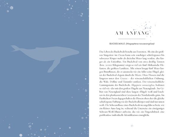 Produktbild: Die Reise der Wale
