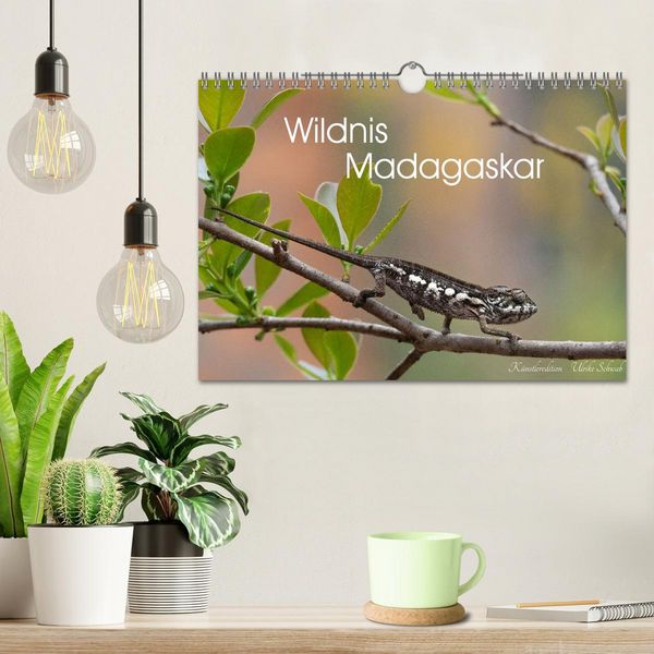 Produktbild: Wildnis Madagaskar (Wandkalender 2027 DIN A4 quer), CALVENDO Monatskalender