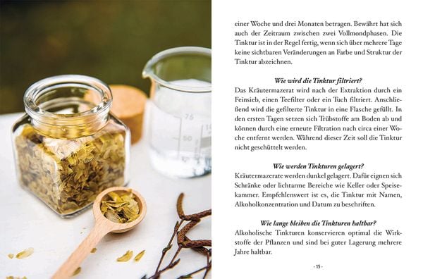Das große kleine Buch: Heiltinkturen aus Wald und Wiese