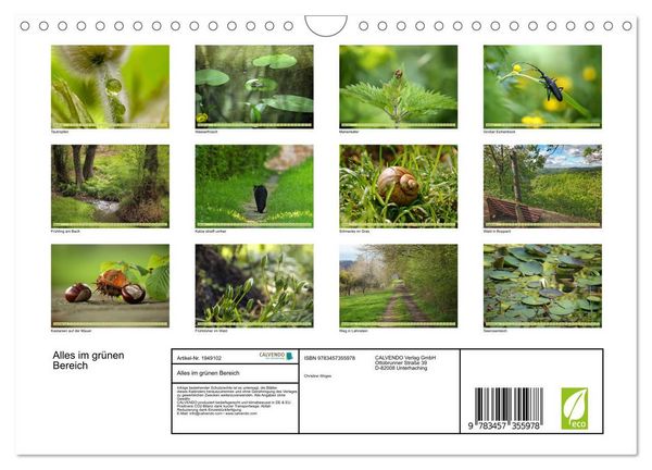 Produktbild: Alles im gr&uuml;nen Bereich (Wandkalender 2026 DIN A4 quer), CALVENDO Monatskalender