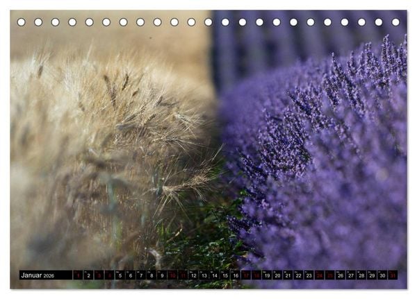 Produktbild: Provence im Rausch der Farben (Tischkalender 2026 DIN A5 quer), CALVENDO Monatskalender